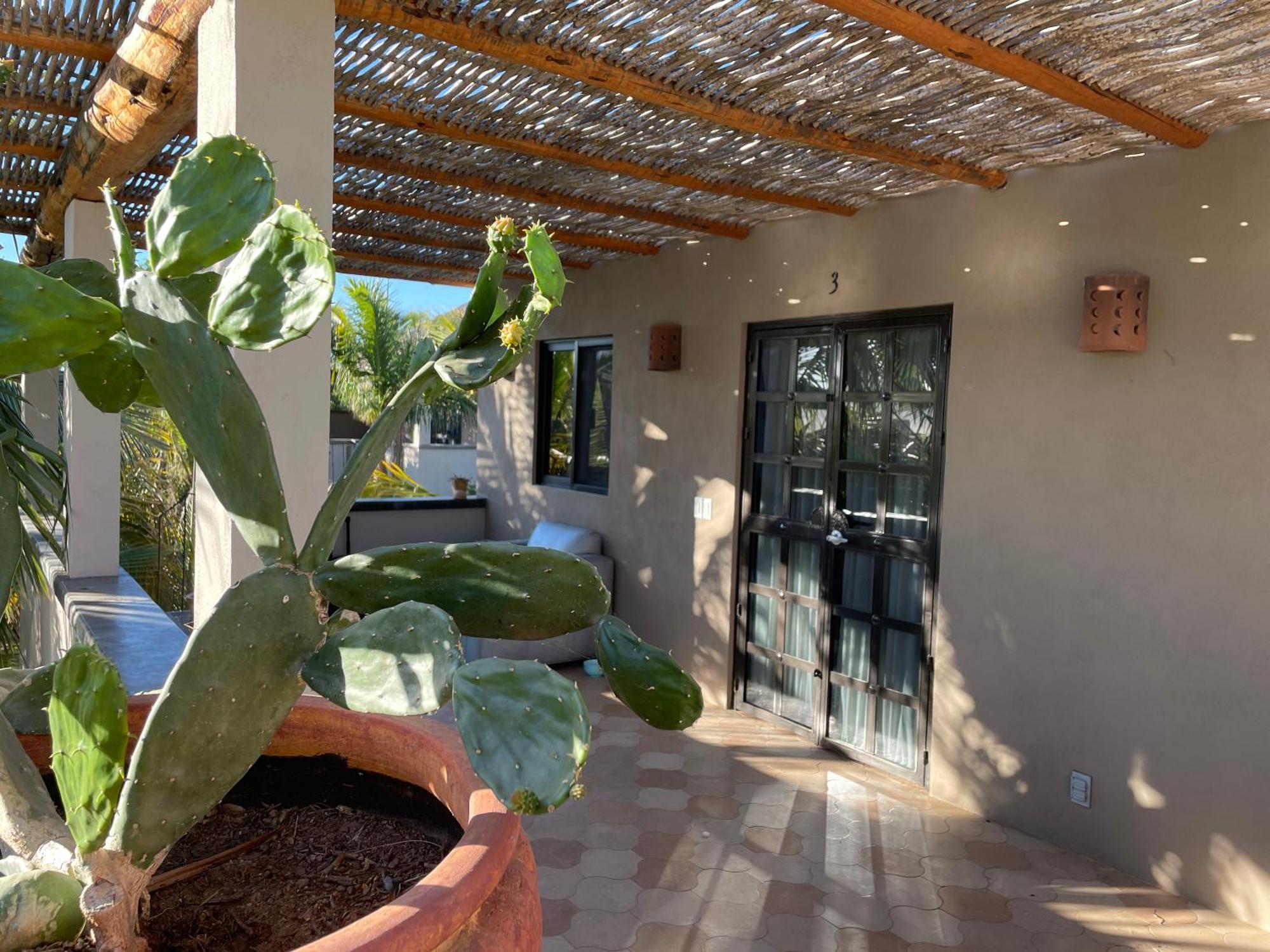 Pure Baja Private Suites-Upscale Property With Infinity Pool And Lush Gardens El Pescadero  Extérieur photo